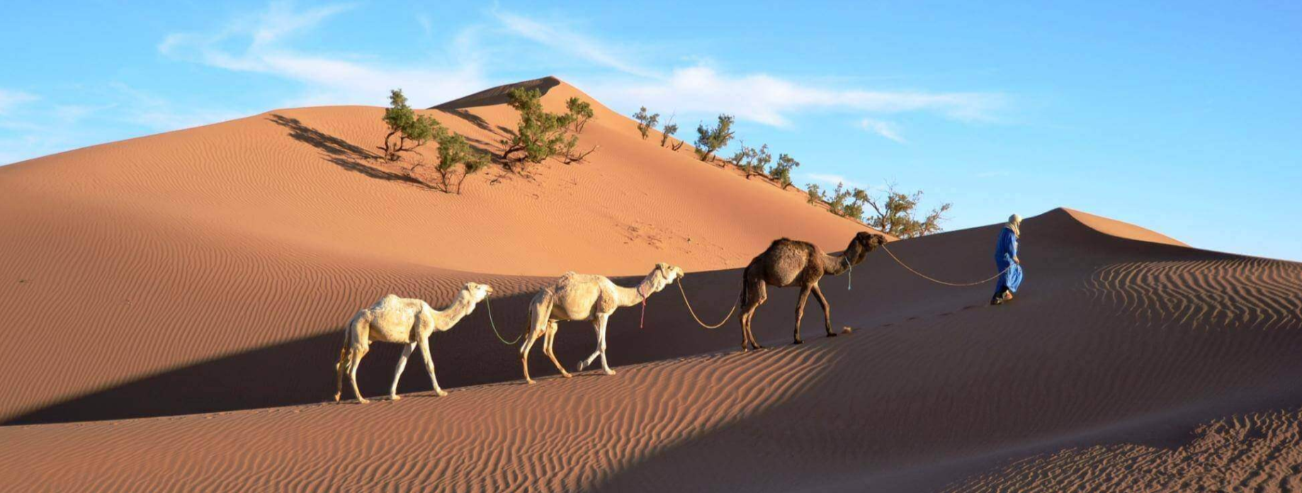 8 interesantes tradiciones de Marruecos que debes conocer