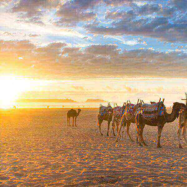 RUTA DE 8 DÍAS DESDE MARRAKECH AL ATLAS Y COSTA ATLÁNTICA
