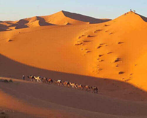 Excursión de 2 días desde Fez al Desierto de Merzouga